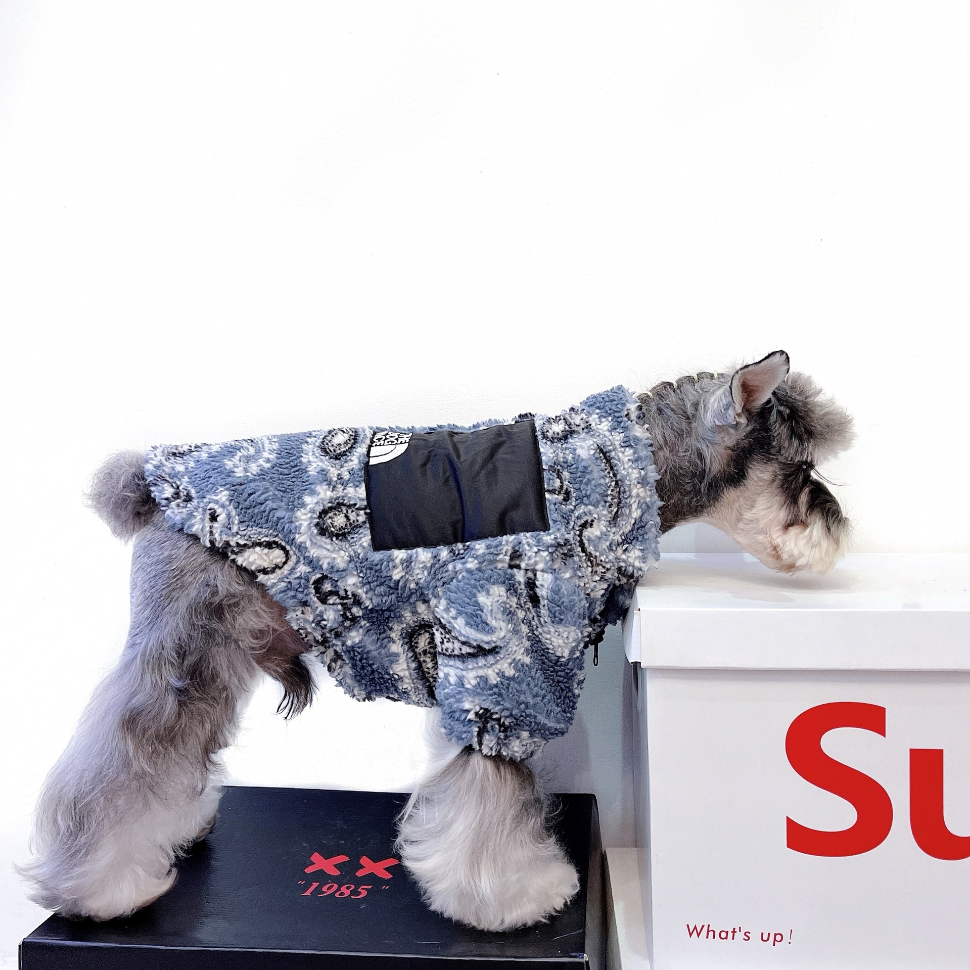 

Designer Pet Dog Apparel Ins Trend Brand To Keep Warm Two Legs Wear For Middle  Dogs SMLXLXXL, Blue