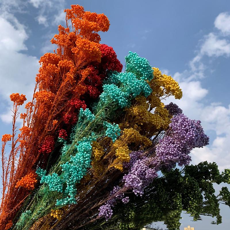 

Decorative Flowers & Wreaths 50g Natural Millet Fruit Dried Flower Artificial Garden Decoration Outdoor Pampas Grass Wedding Gift For GuestD, Blue