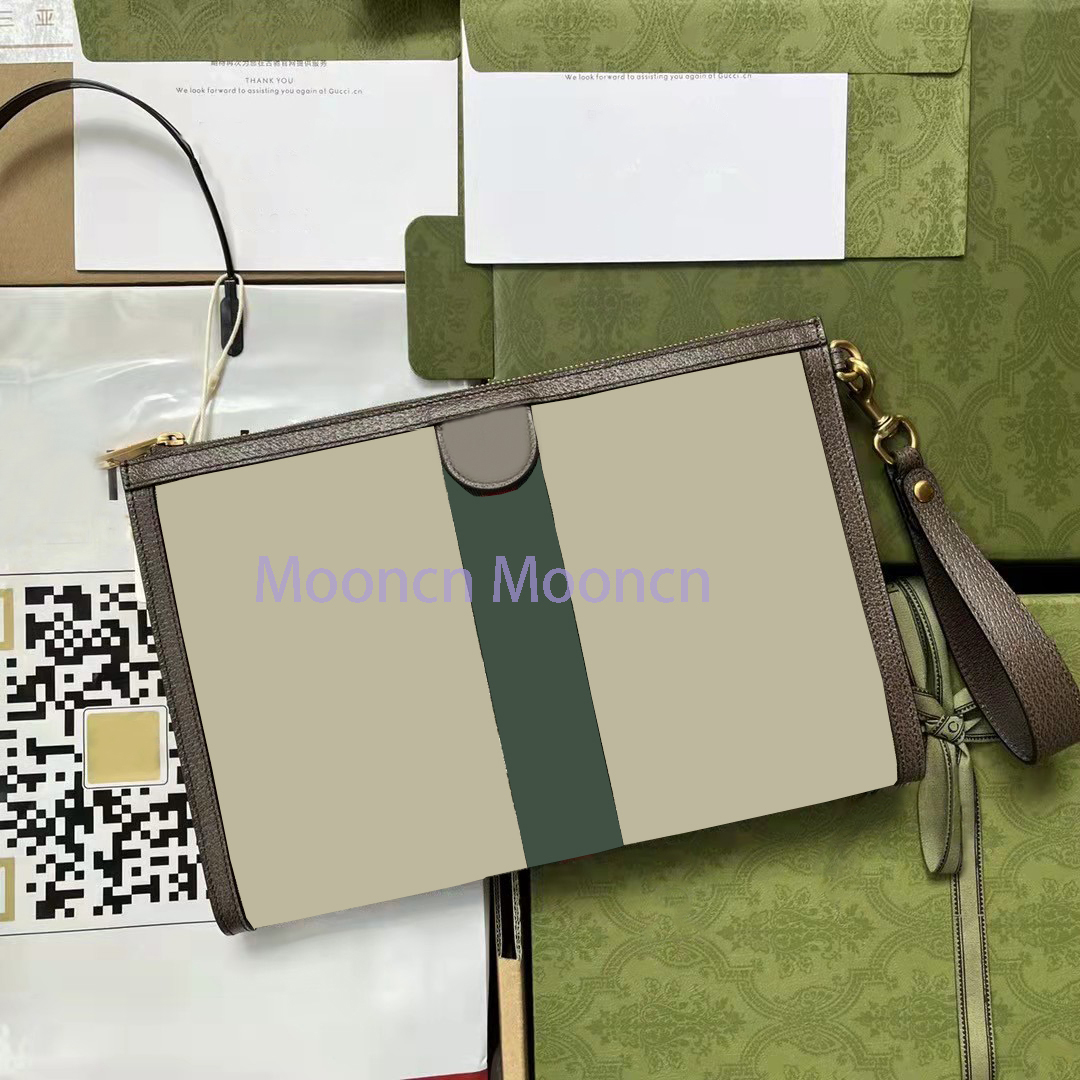 

Luxury Designer Bag Style Design Ladies Zipper Storage Bag Small Square Bags 30x20.3x3.3cm, #1