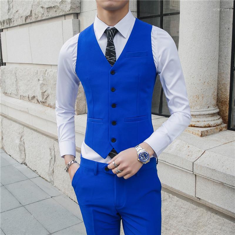 

Men's Vests Waistcoat Vest For Men Slim Fit Leisure Gentlemen Business Sleeveless Vintage Mens Wedding Party Formal CostimeMen's Luci22, Blue