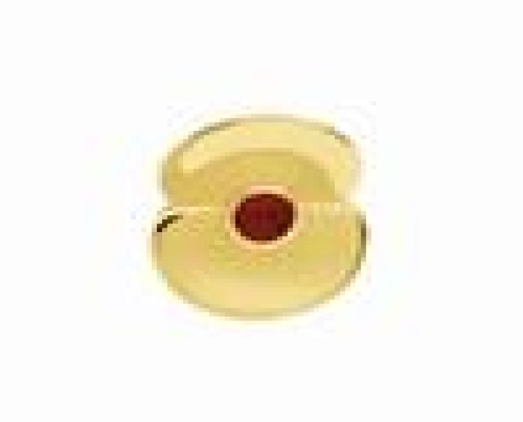 

Somme 100 Poppy Lapel Pin Brooch Gold Tone Century Badge