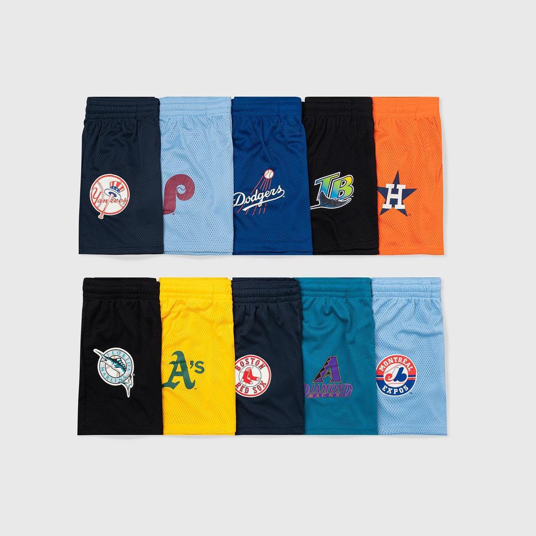 

Mens Shorts Eric Emanuel EE Fitness Bodybuilding Summer Gyms Male Breathable Mesh Quick Dry Sportswear Jogger Beach Casual