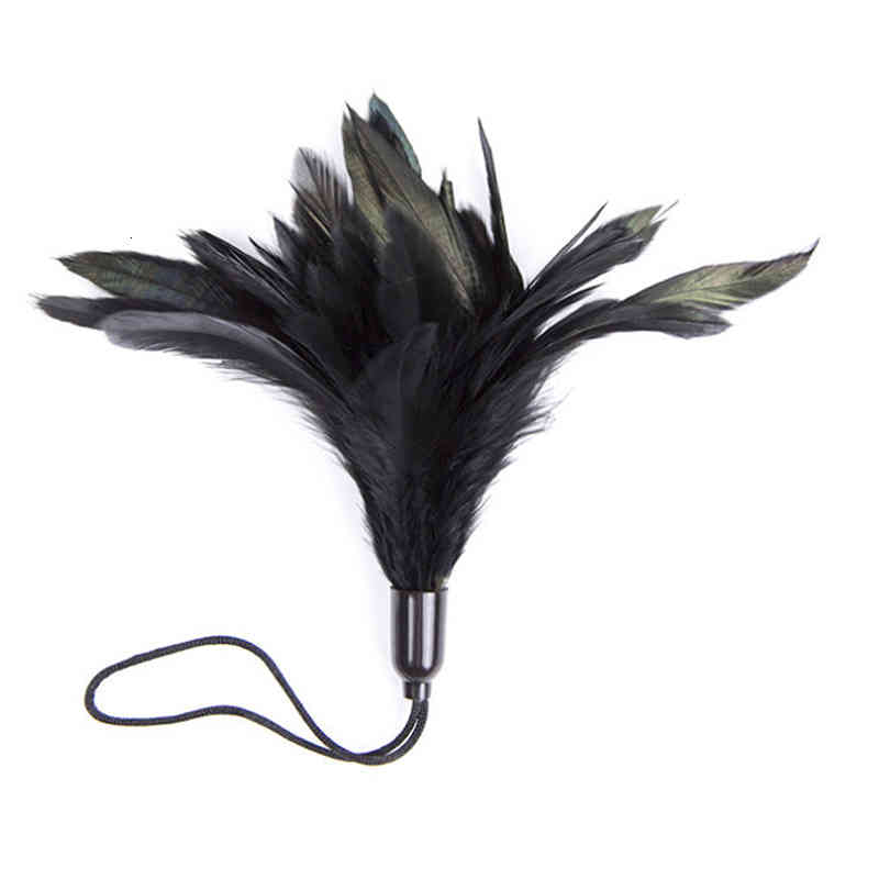 Massager Vibrator Penis Cock Soft Feather Whips Paddles Bdsm Bondage Sm Whip Cli-image-794012396