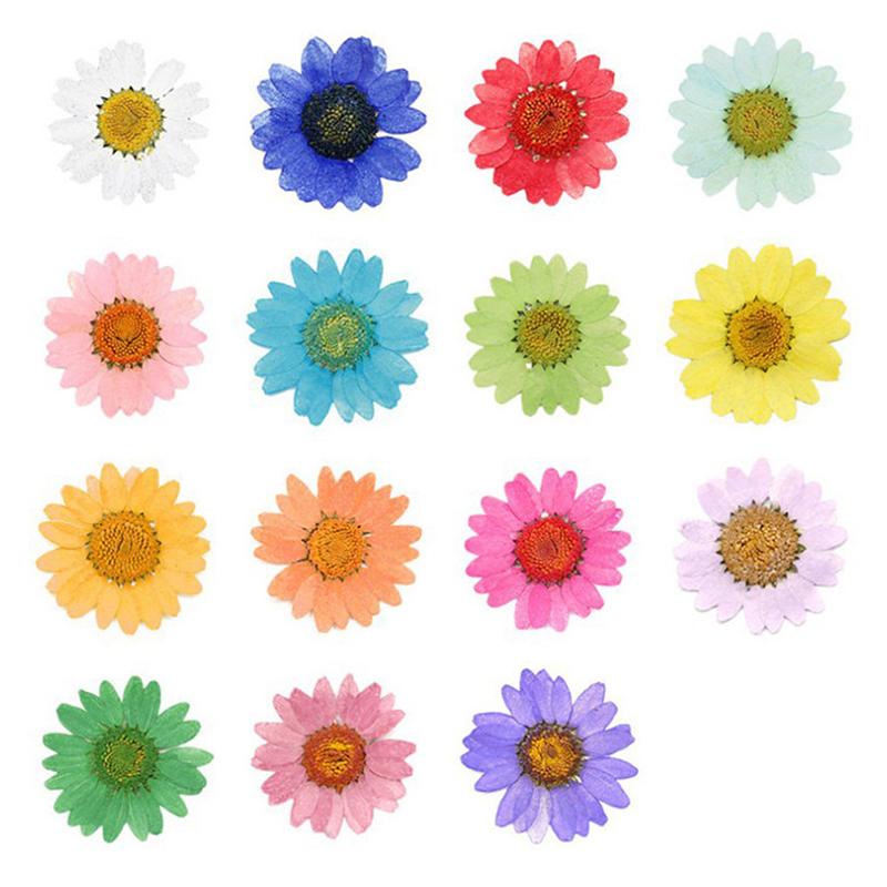 

Decorative Flowers & Wreaths 12pcs Dried Head Pressed Daisy Plants For Epoxy Resin Pendant Necklace Jewelry Making Craft DIY Nail Art Access, Orange