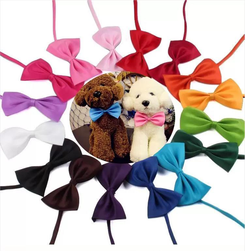 Coiffe de compagnie coiffe chien cravate chat noeud papillon de toilettage fournitures de chien multicolore peut choisir 15 coclors
