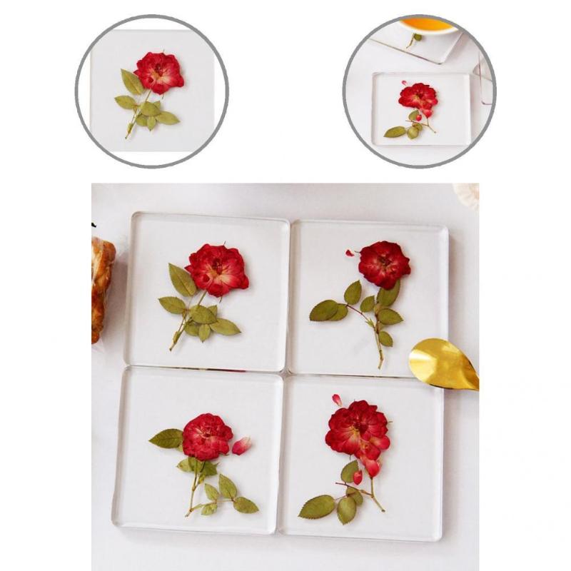 

Mats & Pads Excellent Cup Pad Resin Wear-resistant Ornamental Fine Clear