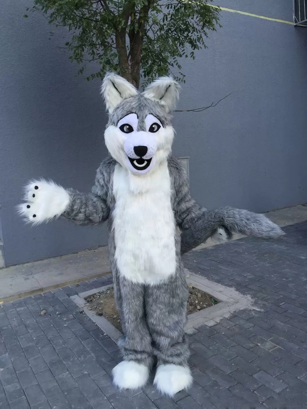 

Halloween Grey Wolf Mascot Costume High Quality Cartoon Husky dog wolfhound Animal Anime theme character Christmas Carnival Fancy Costumes