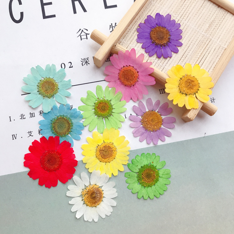 

120pcs Pressed Press Dried Daisy Dry Flower Plants For Epoxy Resin Pendant Necklace Jewelry Making Craft DIY Accessories 2377 T2