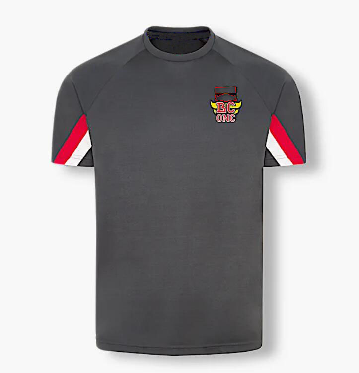 

2022 summer round neck shirt new F1 racing short sleeve same custom 5336