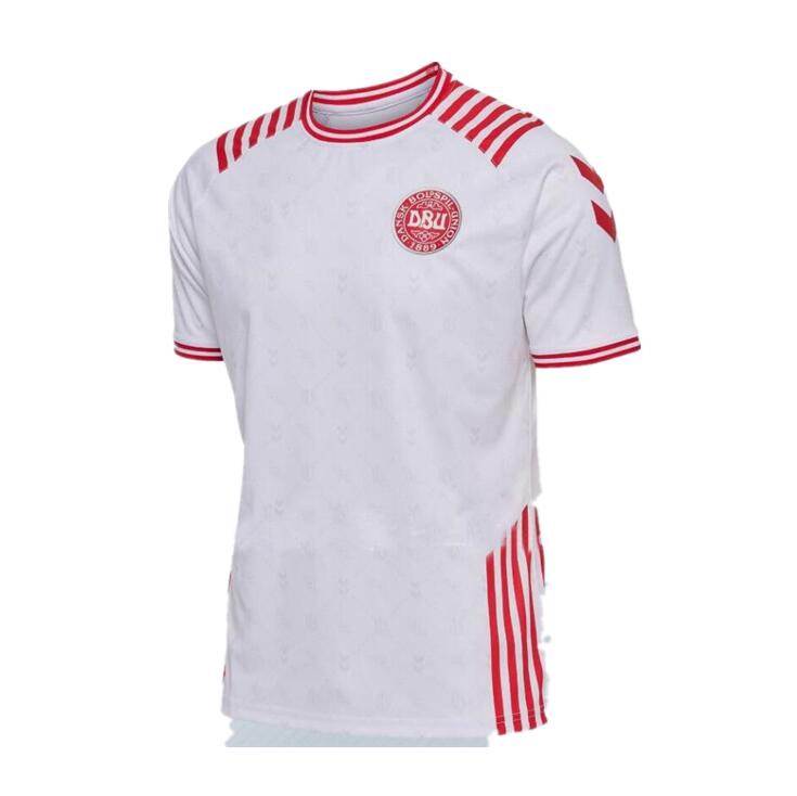 22 23 Denmark 2022 Limited-Edition Kit Soccer Jerseys special KJAER Maehle 2022 CHRISTENSEN Skov Braithwaite ERIKSEN DOLBERG football shirts men-image-758384774