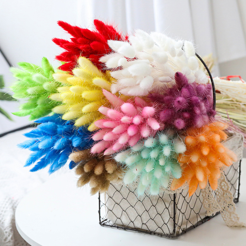 

50pcs Dried Flower Bunny Tail Natural Plants Rabbit Grass Bouquet Home Decoration Accessories Photography Props Floral, Rabbit grass fens 50pcs
