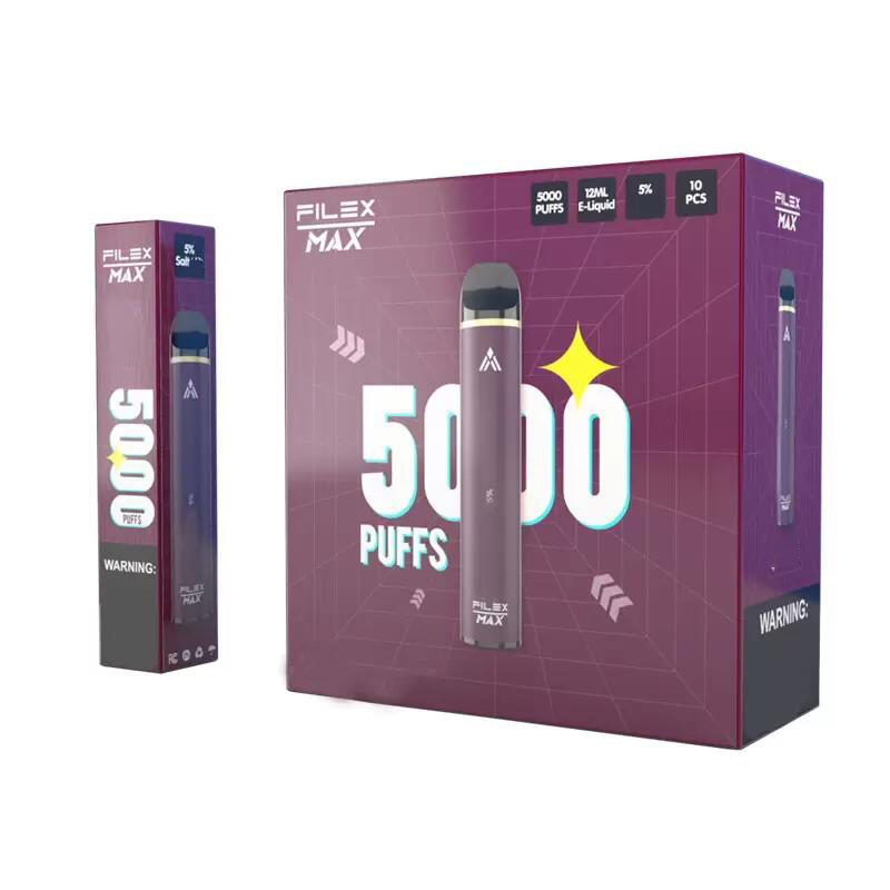 

Original QST Filex Max Disposable E Cigarettes Device Kit 5000 Puffs Prefilled 12ml Pods 5% Vape Stick Pen Portable Vaporizer