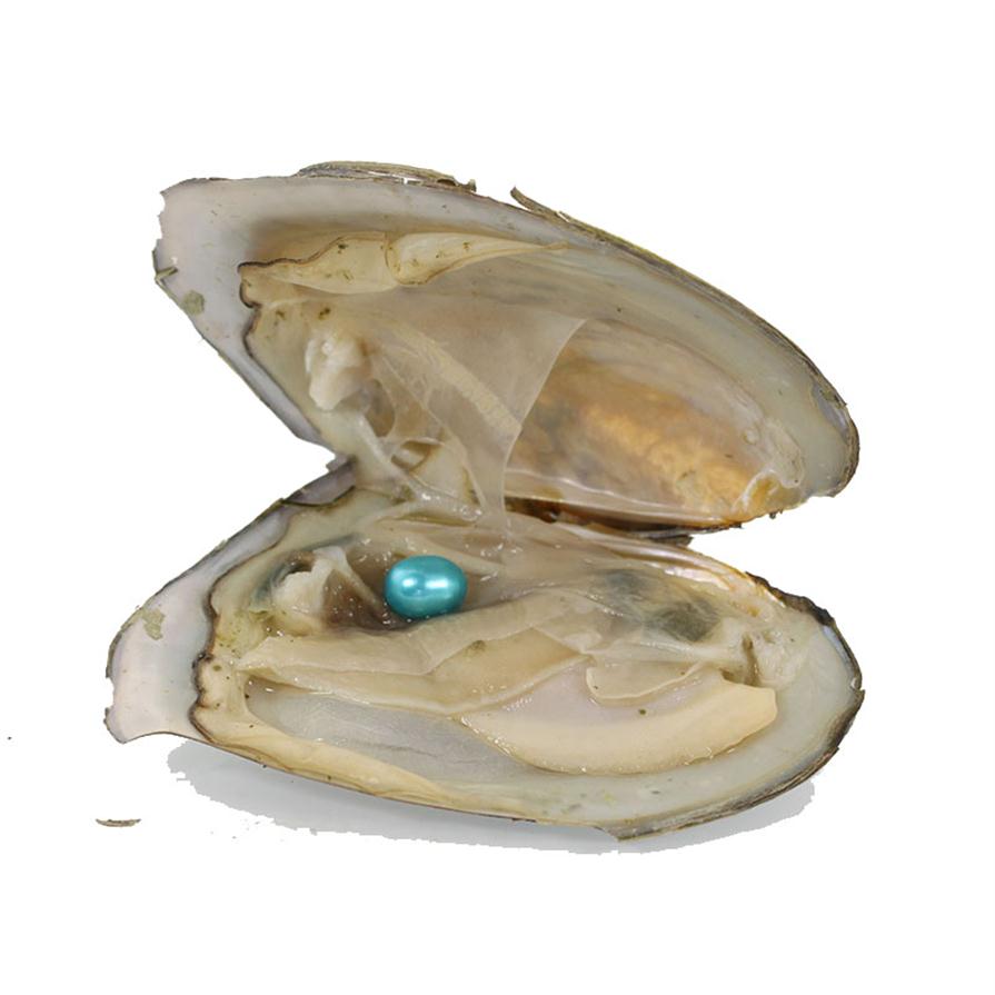

Bulk 100Pcs Vacuum pack Oyster Wish Freshwater Pearl 6-8mm Mix Color Oyster Oval Rice Pearls blue ZH001297v