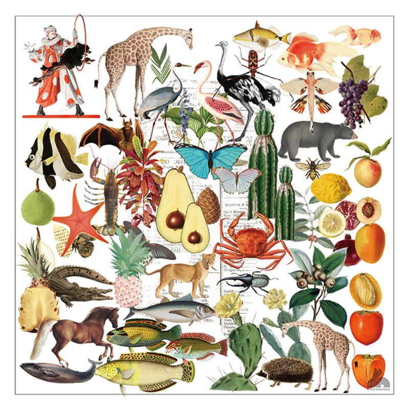 

Gift Wrap 50Pcs Encyclopedia Paper Stickers Kits Die Cut For DIY Scrapbooking Journal TN Planner Sticker Po Card Making