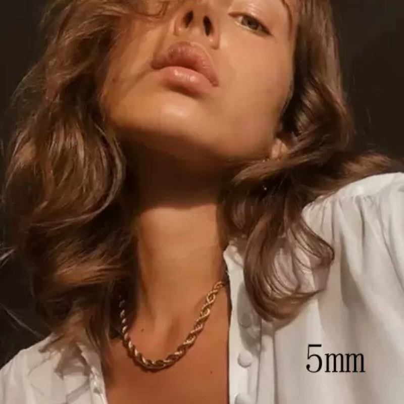 

2022 luxury necklace designer Women and men Gold Plated Rope Chain Stainless Steel Golden Fashion Twisted Rope Chains Gift 2 3 5mm Jewelry necklaces