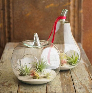 

glass vases fruit apple shape pear shape flower vase wedding decoration
