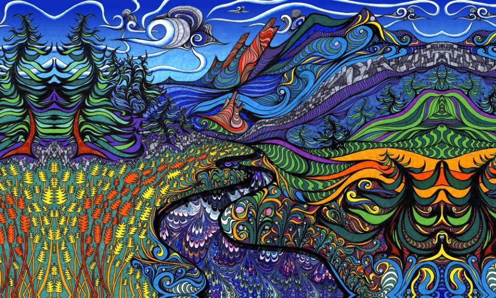 

Psychedelic Trippy Art Fabric poster 40" x 24" 21" x 13" Decor--07