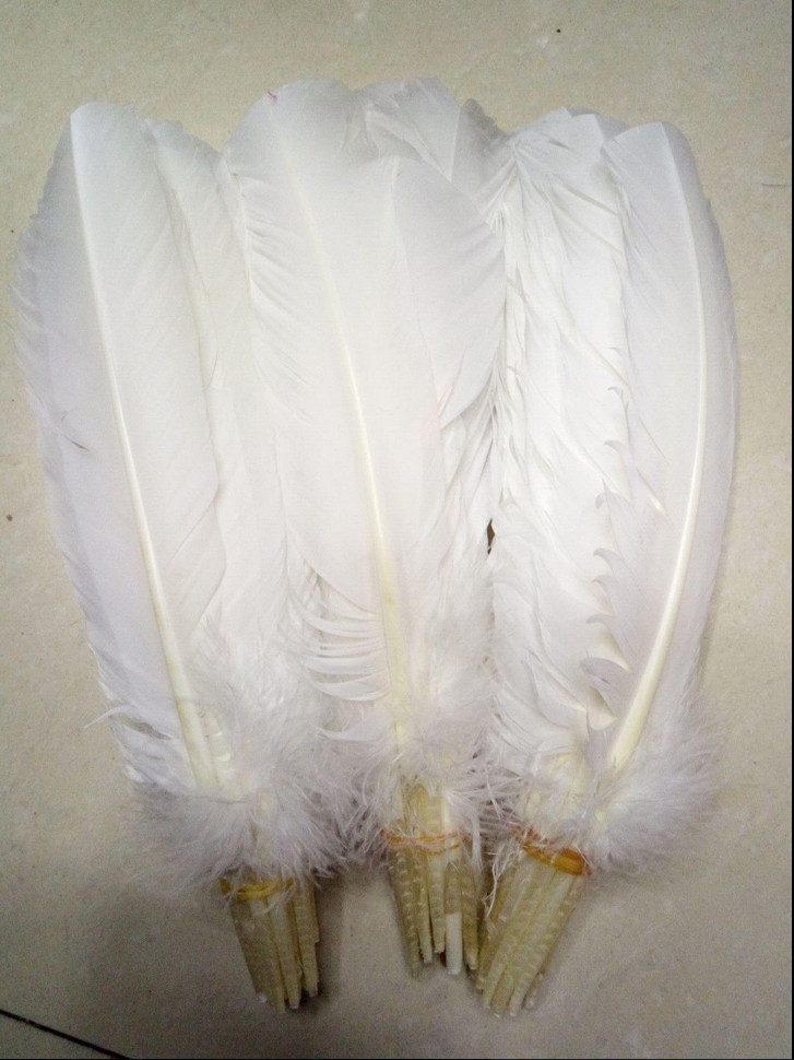 

Turkey Feathers White Turkey Round Quill Feathers 10-12inches/25-30cm