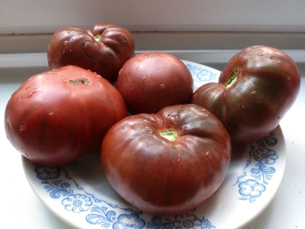 

Rare Tomato Black Russian Seeds Organic Russian Vegetable Heirloom Seed 100pcs S043