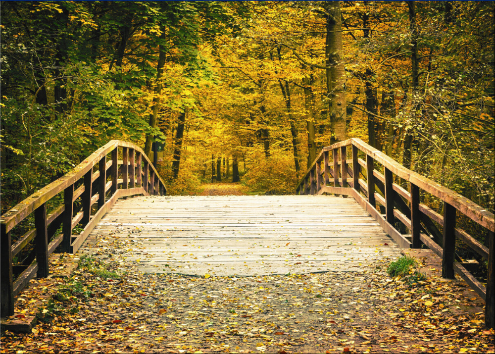 

150cm*100cm Vinyl Custom autumn Photography Backdrops Photo Studio Background QD37