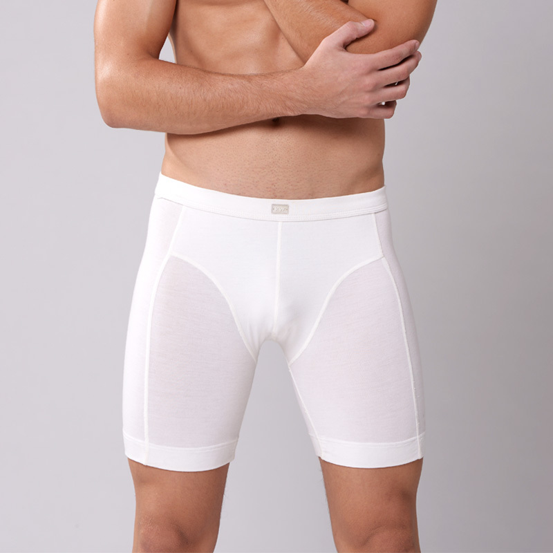 

Wholesale-2016 New Style Men's Fashion Boxer Underwear Long Boxers Mens Sports Shorts Modal Undershorts men's boxer shorts Sexy, Deep gray