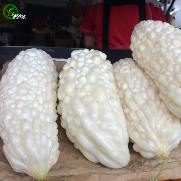 

White bitter gourd Seeds Green Organic Vegetables and Fruit Seeds Delicious 20 Particles / lot K020