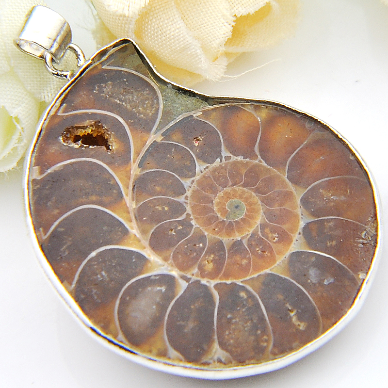 Natural Ammonite Fossil with S925 Sterling Silver Hook Charm Earrings