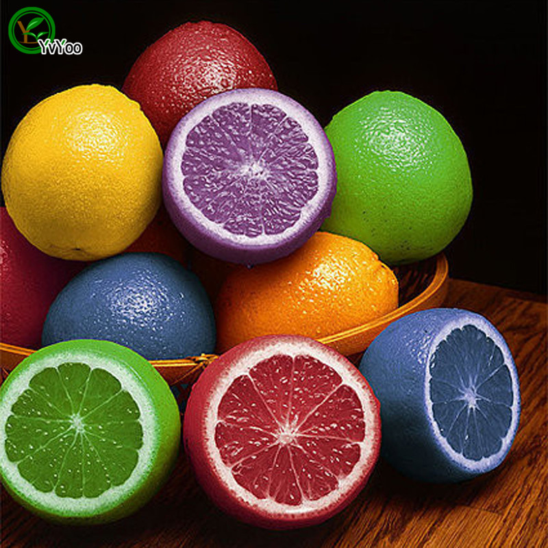 

Colorized Lemon Seeds garden plants Bonsai organic fruit and vegetable seeds 30 pcs x007