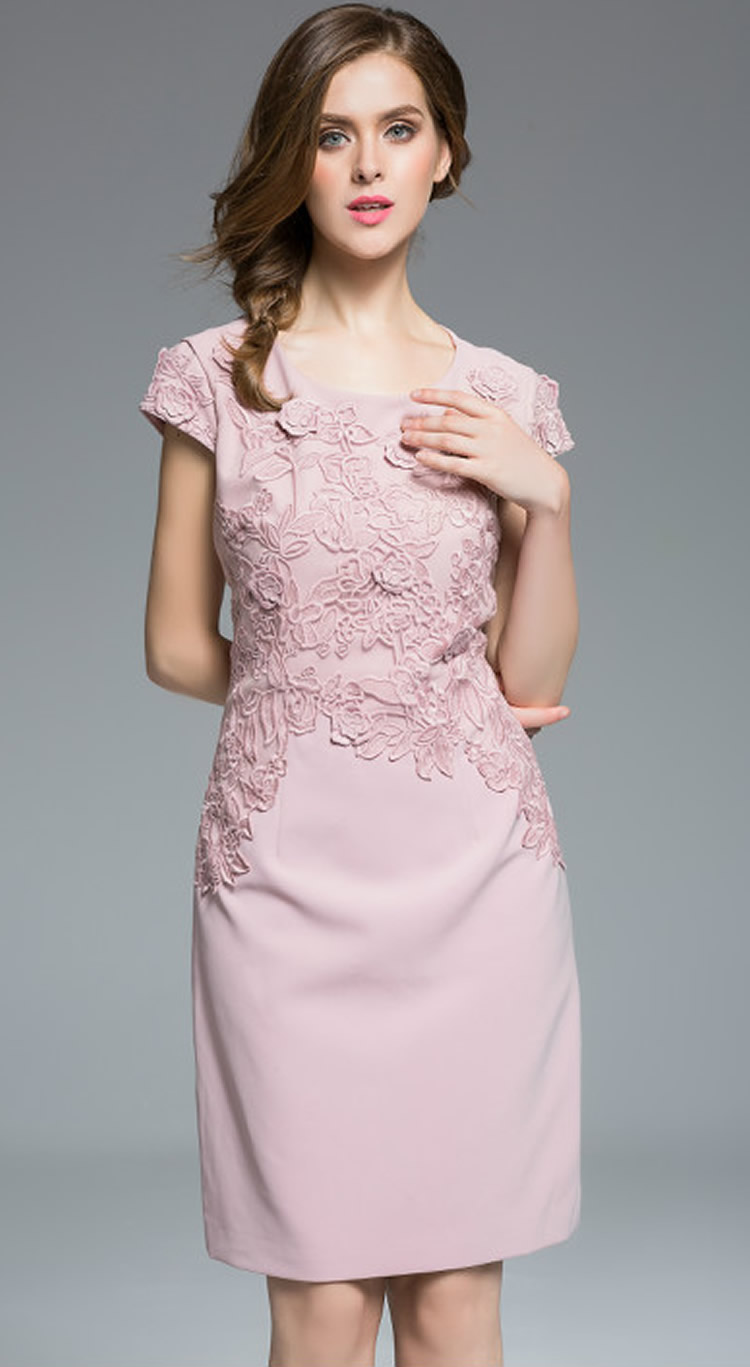 

Embroidery Women Sheath Dress Short Sleeve Pink Party Dresses 0816150