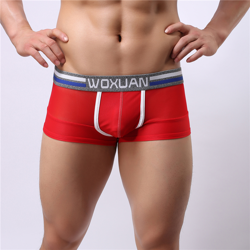 

Sexy Men Boxer Shorts Mesh Line Design Soft Panties Underwear Boy Tulle Breathable Boxer Shorts Nylon Panties Male Charnming Underpants, White