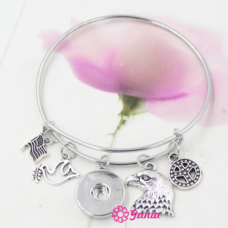 En gros Nouvelle Arrivée Interchangeable Bijoux USA Drapeau Aigle Signe De Paix Colombe Charmes Fil Réglable Extensible Snap Bracelet Bracelets B