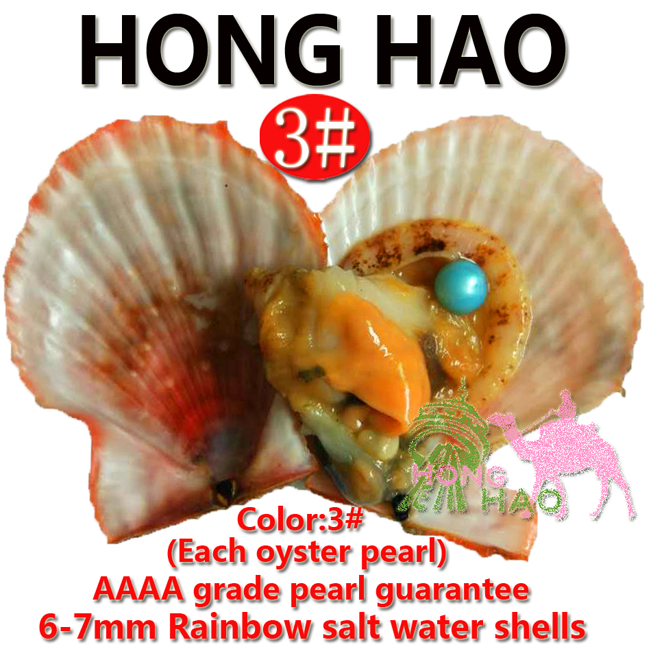 

Yiwu Factory Bulk Wholesale 6-7mm Blend Cool Vacuum Packaging Round Natural Edison Pearls at Akoya Oyster