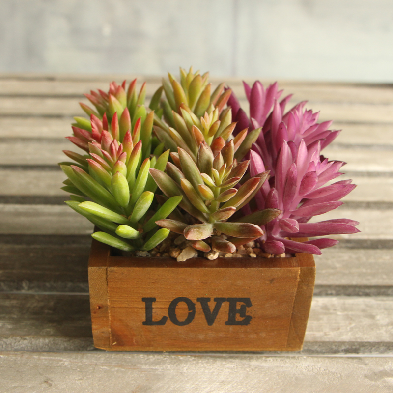 Vente en gros - Flocon de neige Lotus Plantes rares Plantes succulentes Désert Plantes artificielles Arrangement de paysage Décor de jardin migno