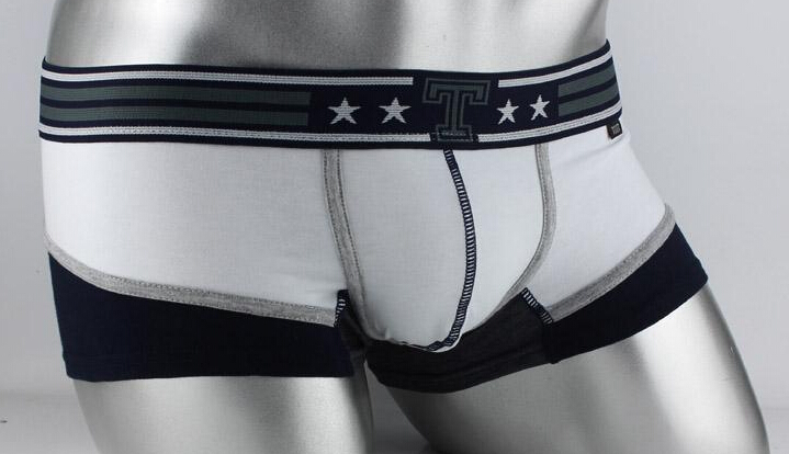 

NEW Brand new cotton name male fashion famous star striped toot trunks underpants calzoncillos boxer briefs shorts, White