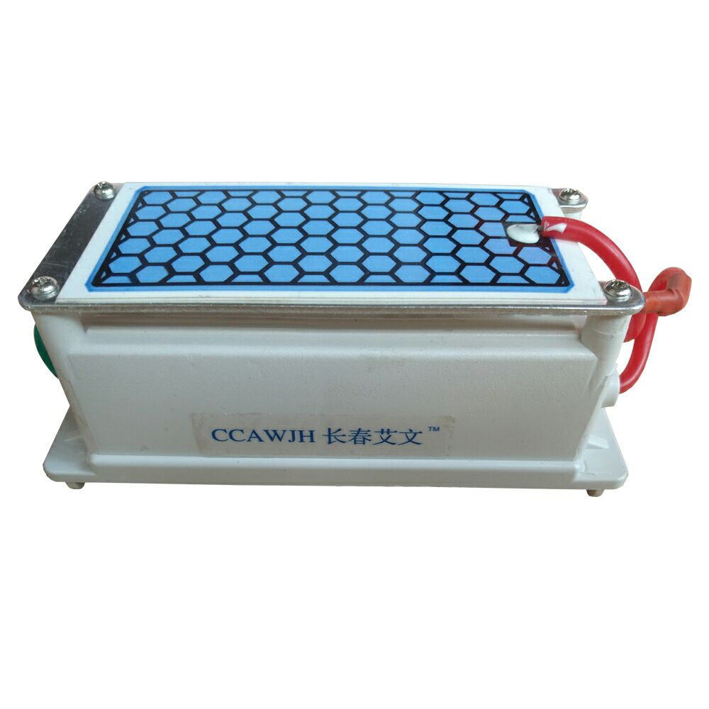 AC 220V DC 12V Generatore di Ozono Piatto di Ceramica Depuratore Ozonizzatore