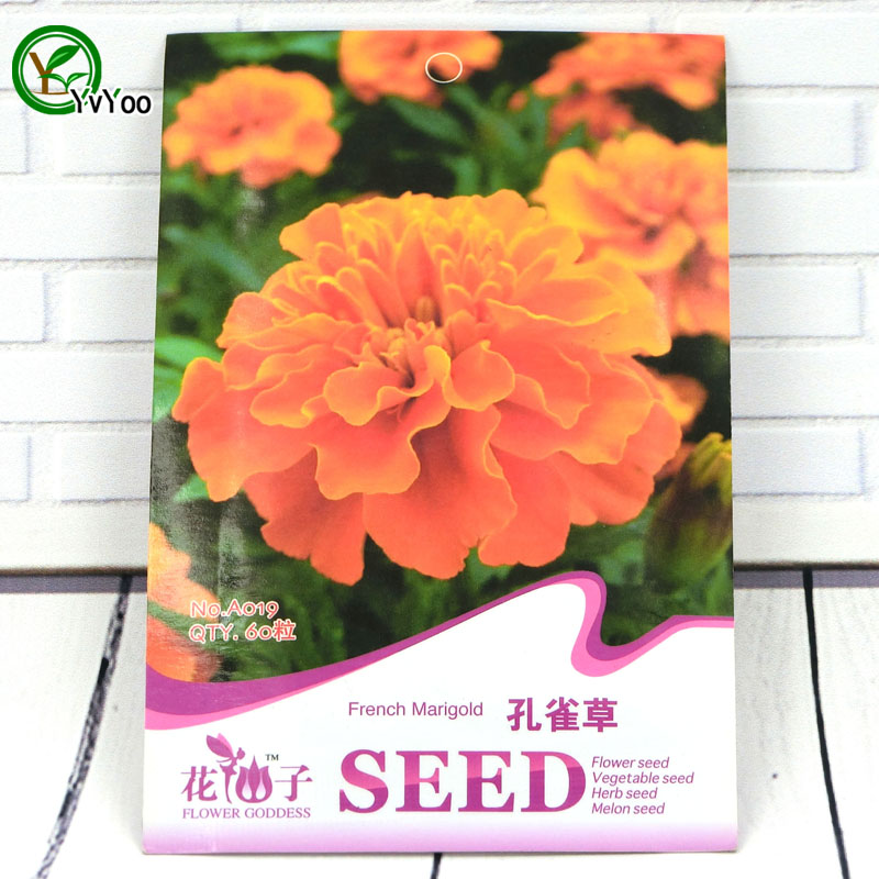 

French marigold Seeds Promotion Balcony Bonsai Flower Seeds Flowering Plants 60 pcs r011
