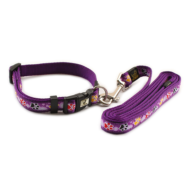 

armipet Fashion Purple Nylon Material Dog Collar Leash Dogs Princess Leashes Collars 6043023 Pet Supplies Accessories