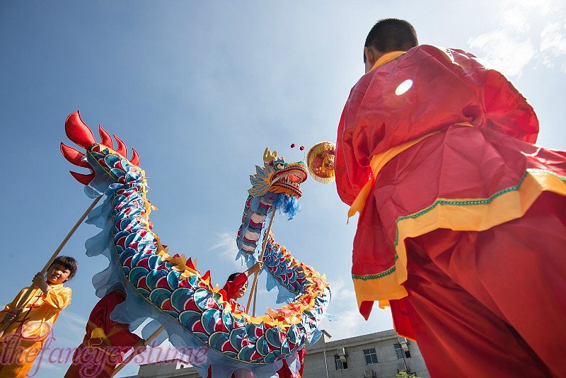 

Dragon Dance Blue mascot costume Red size 6# 7.9m 8 kids Children folk SILK china special culture holiday Outdoor Game Carnival Wedding Birthday Parade Ornamen Toy, Blue red