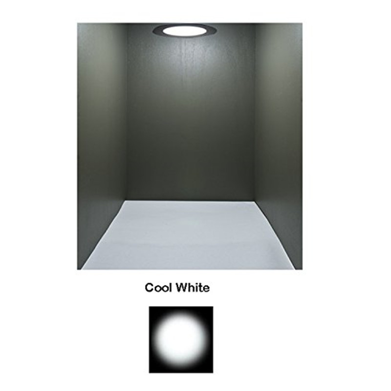 Cool White