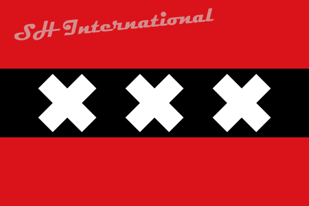 

Holland the Netherlands Amsterdam City Flag 3ft x 5ft Polyester Banner Flying 150* 90cm Custom flag outdoor