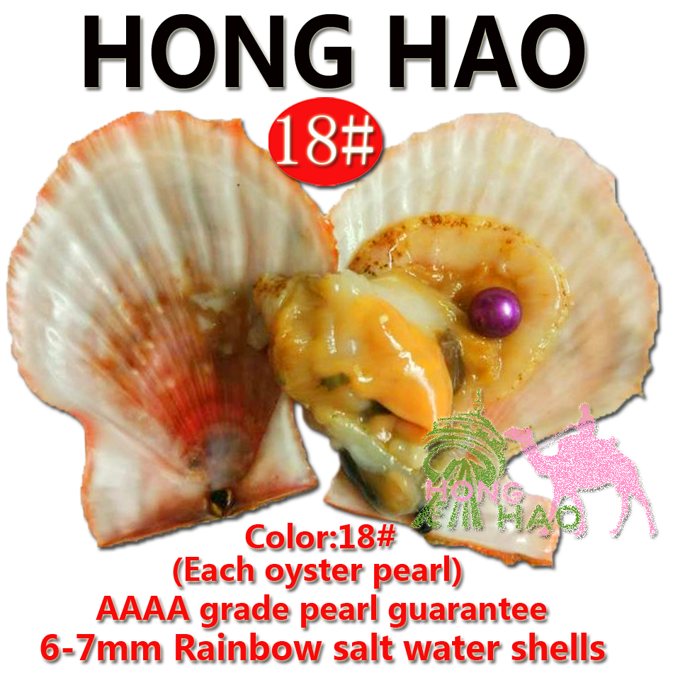 

30 pieces free shipping love pearl oyster 6-7 mm various colored round freshwater pearl fresh rainbow oyster with vacuum packaging