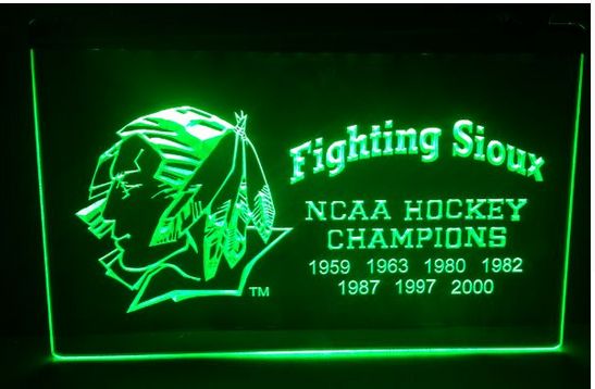 

Fighting Sioux beer bar pub club 3d signs led neon light sign home decor crafts