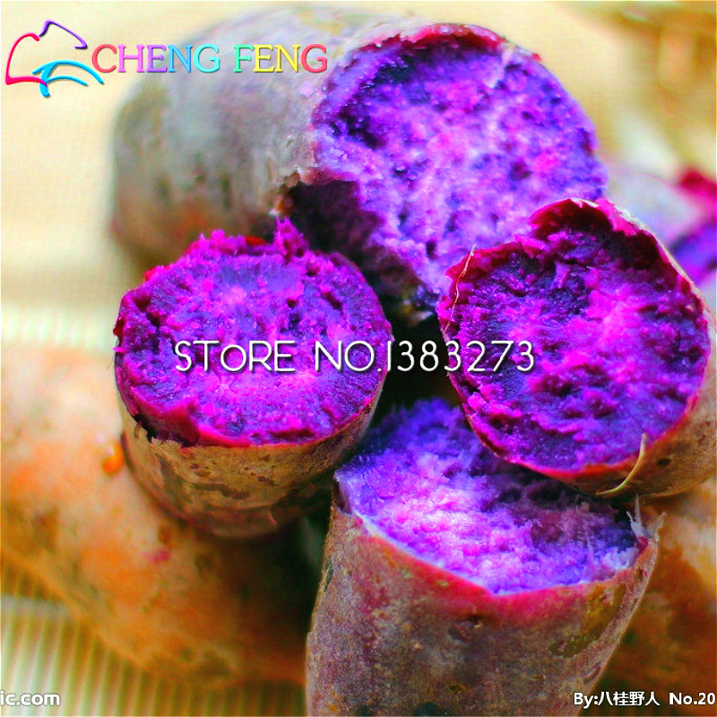 

30 Pcs/lot Annual Fruit And Vegetable Seeds Purple Sweet Potato Seeds Diy Home Garden Bonsai Plant Ipomoea Batatas Farm Seeds