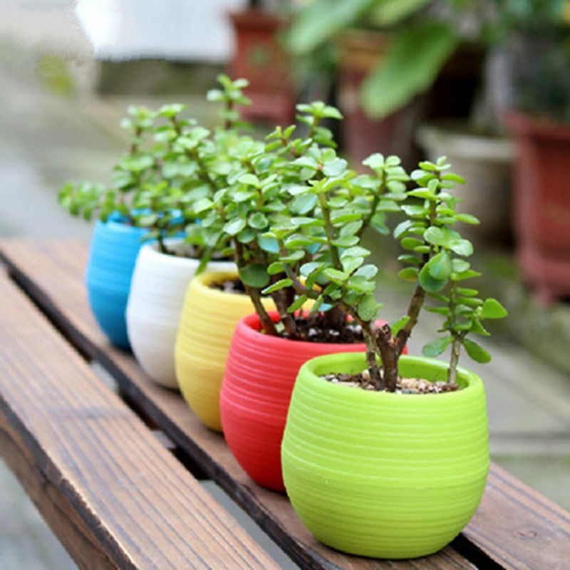 

Wholesale Mini Flower Pots Flowerpot Garden Unbreakable Plastic Nursery Pots 20 PCS