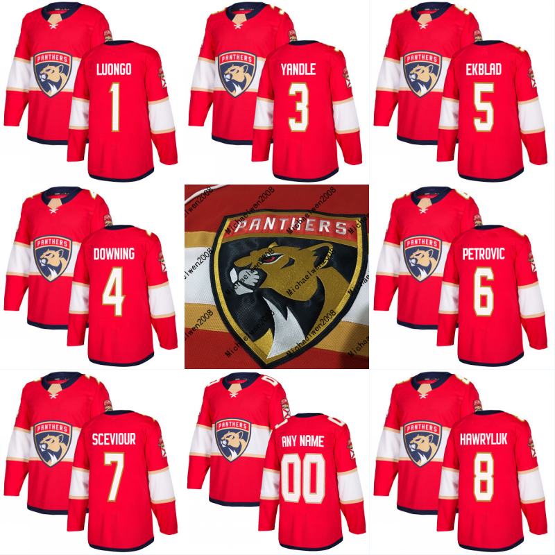 

2017-2018 Season Florida Panthers Jersey 1 Roberto Luongo 3 Keith Yandle 4 Michael Downing 5 Aaron Ekblad Custom Hockey Jerseys Cheap