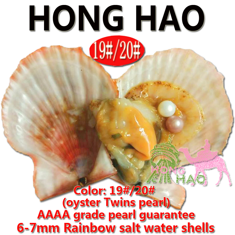 

Freshwater Vacuum-pack Oyster Wish Pearls, Pearl Mussel Shell with 6-7 mm Oval Twins Pearl Inside, two Colors Pearls.