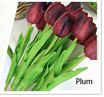 Plum