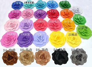 Color Chart