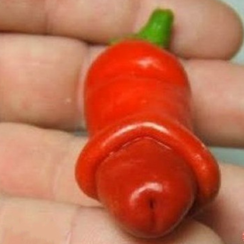 

50 seeds/pack Garden plants Peter Pepper Seeds red hot chili peppers