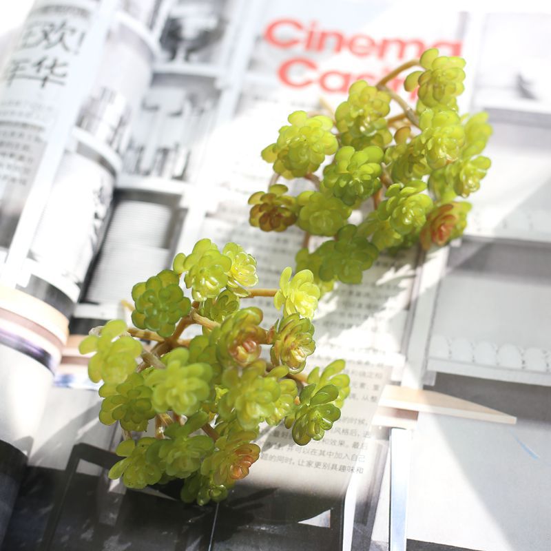 

Factory price 24 forks immortal tree fake flower simulation indoor plant wall micro landscape succulent palnts, Green